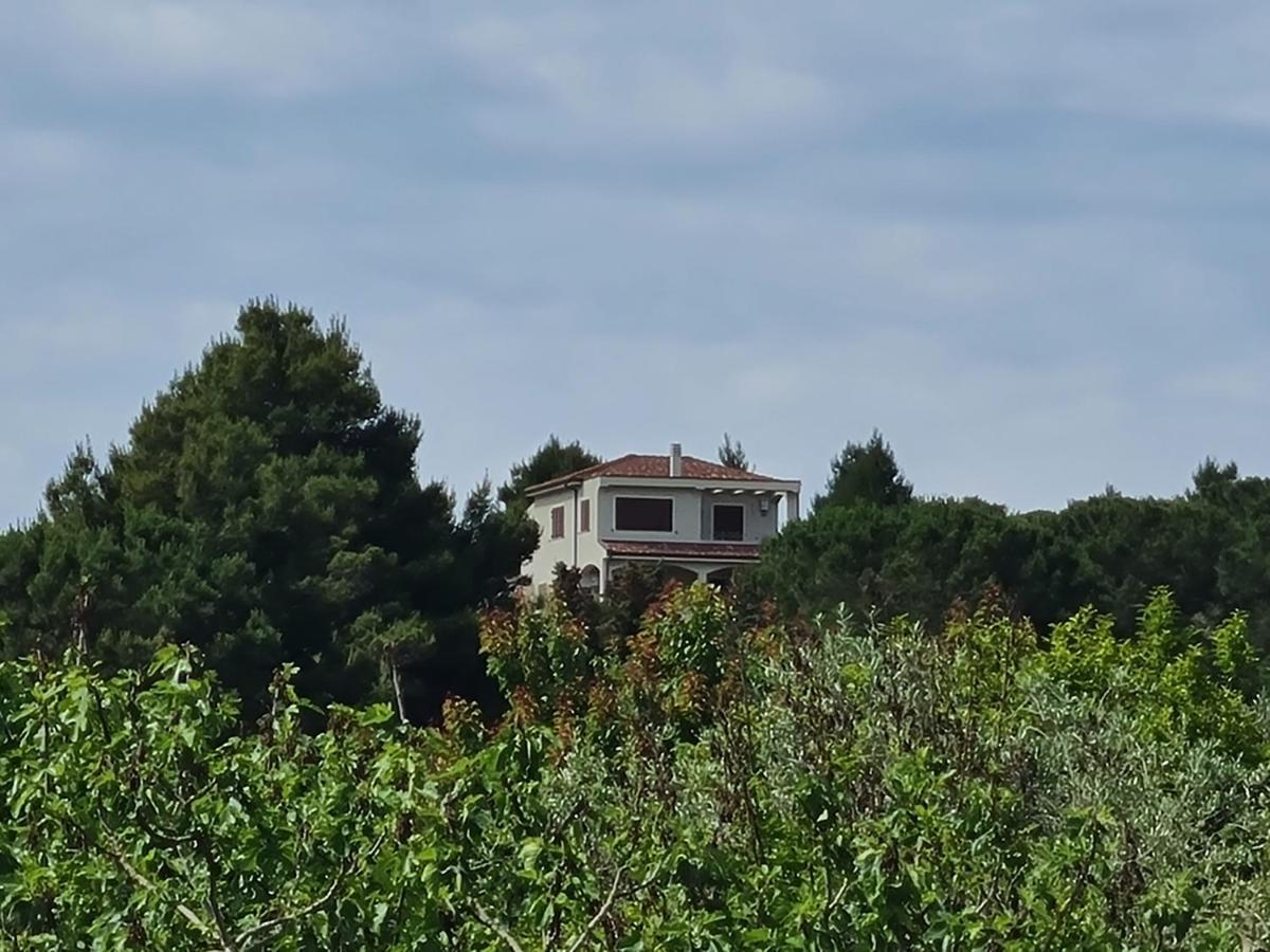 Alghero - House With Panoramic View Immersed In Full Nature Extérieur photo